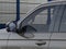 2026 Ford Expedition Tremor®