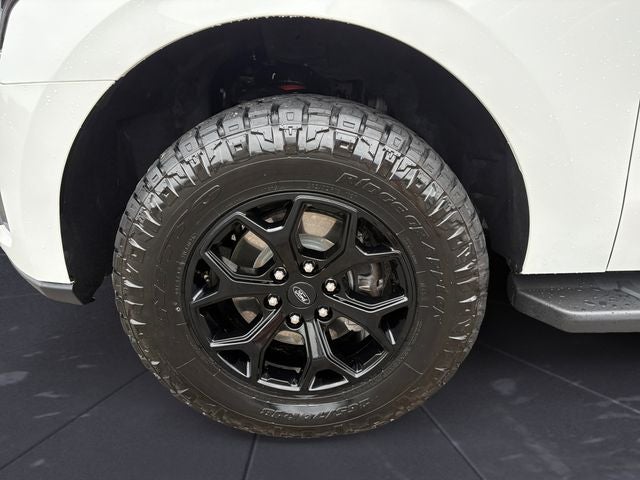 2024 Ford Expedition Timberline