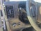 2024 Chevrolet Express Passenger 3500 1LT
