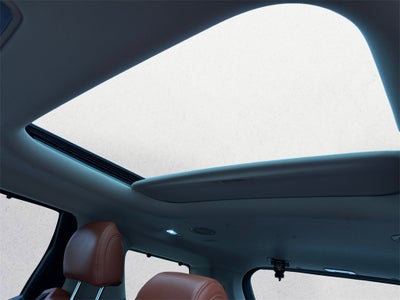 2025 Kia Carnival Hybrid SX